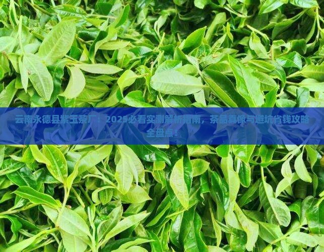 云南永德县紫玉茶厂