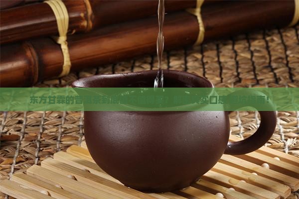 东方甘霖生产的普洱茶