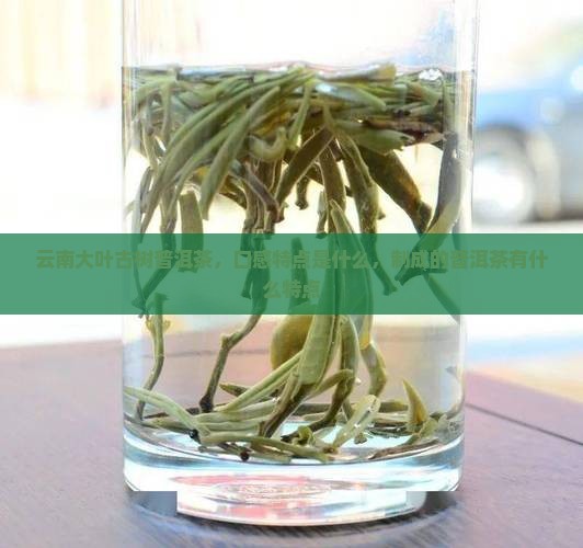 纯古树普洱茶口感特点是什么
