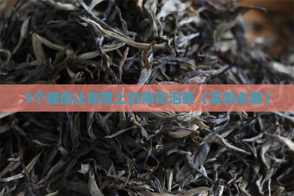 白梅花泡茶的功效
