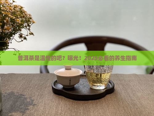 普洱茶是温性的吧