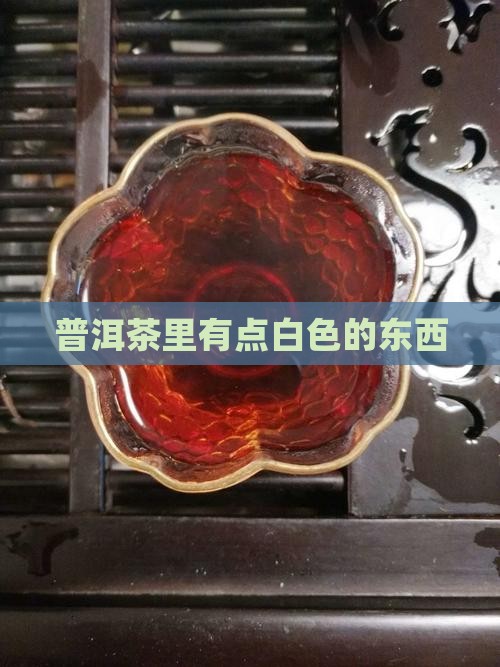 普洱茶里有点白色的东西
