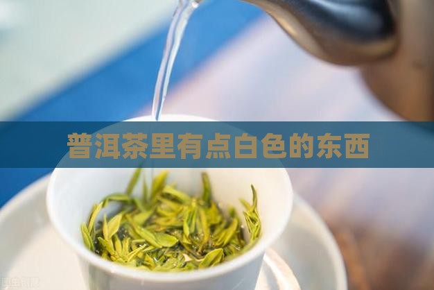 普洱茶里有点白色的东西