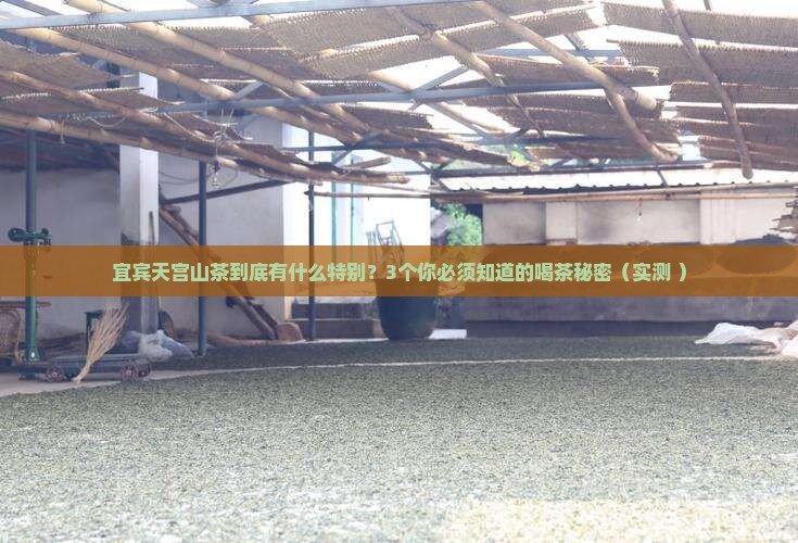 宜宾天宫山茶的特点