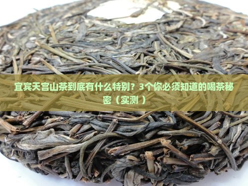 宜宾天宫山茶的特点