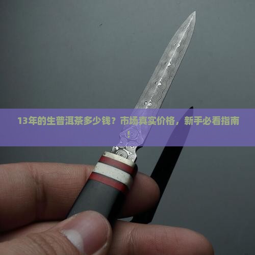 13年的生普洱茶多少钱