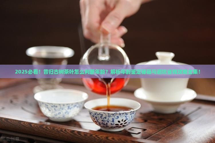 昔归古树茶叶怎么判断年龄