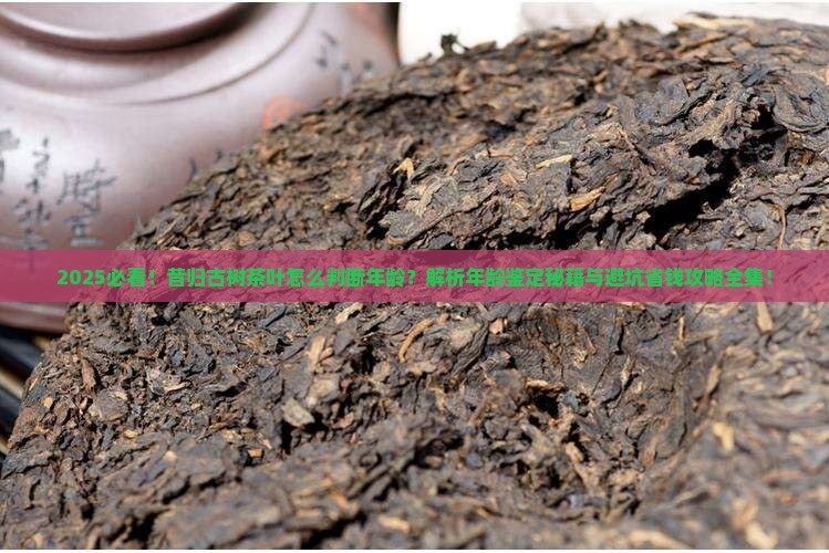 昔归古树茶叶怎么判断年龄