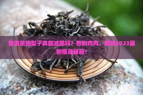 普洱茶加梨子减肥功效