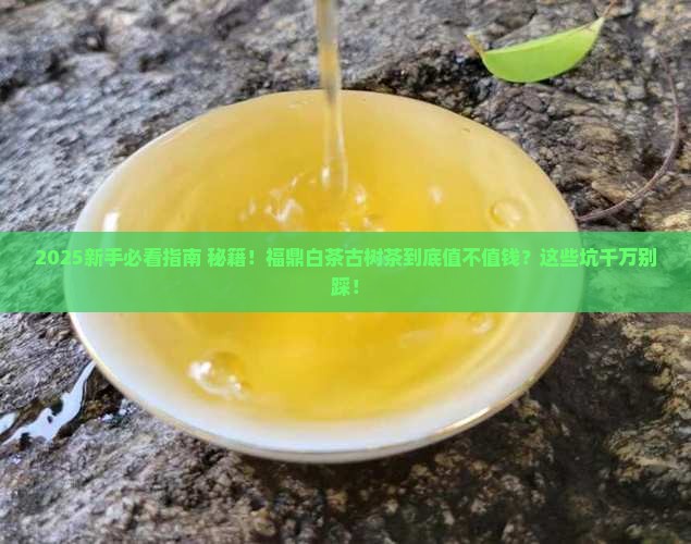 更多关于福鼎白茶古树茶的问题