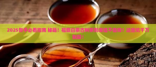 更多关于福鼎白茶古树茶的问题