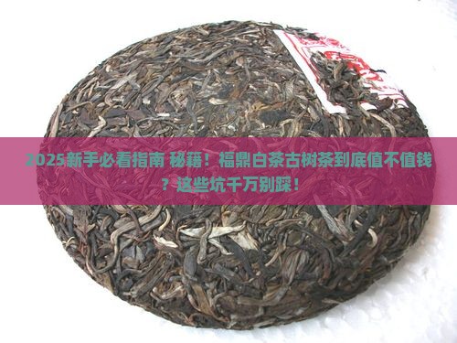 更多关于福鼎白茶古树茶的问题