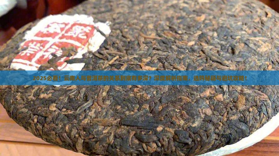 云南人与普洱茶的关系