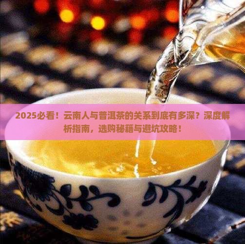 云南人与普洱茶的关系