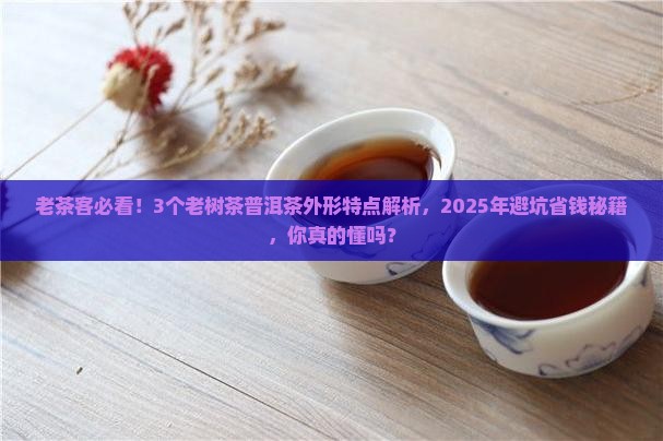 老树茶普洱茶外形特点