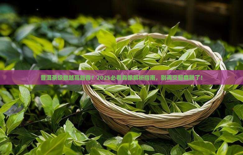 普洱茶级数越高越好吗