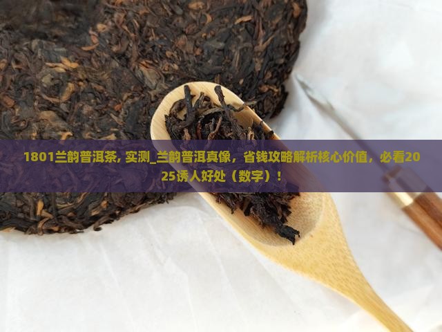 1801兰韵普洱茶