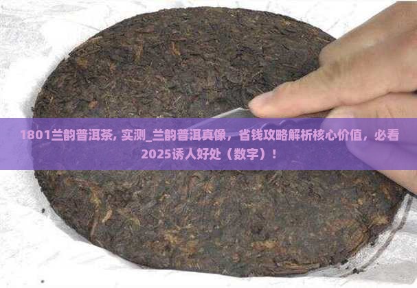 1801兰韵普洱茶