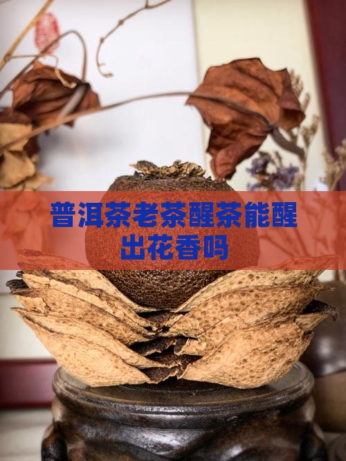 普洱茶老茶还能醒出花香吗