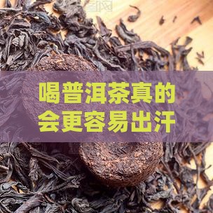 喝普洱茶是不是出汗多些