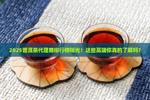 高端普洱茶品牌代理商排名