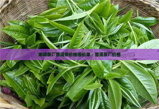 南峤茶厂普洱茶报价单