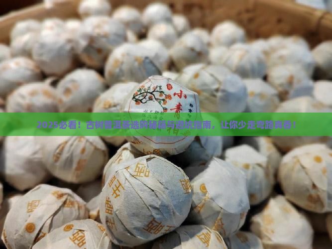 古树普洱茶怎么选好