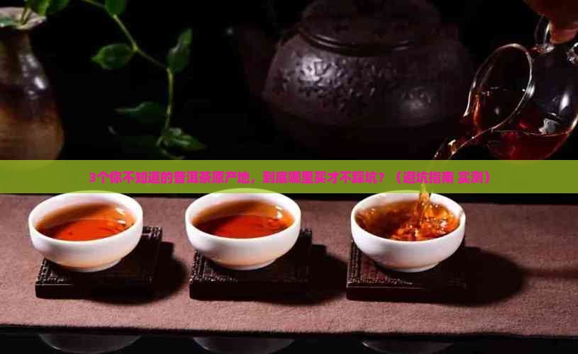 普洱茶原产地茶业