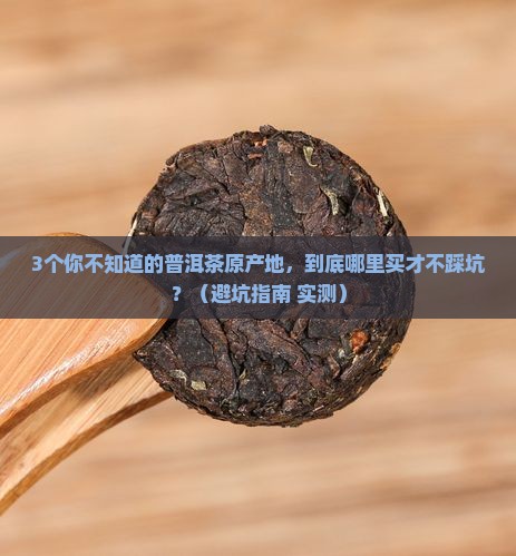 普洱茶原产地茶业