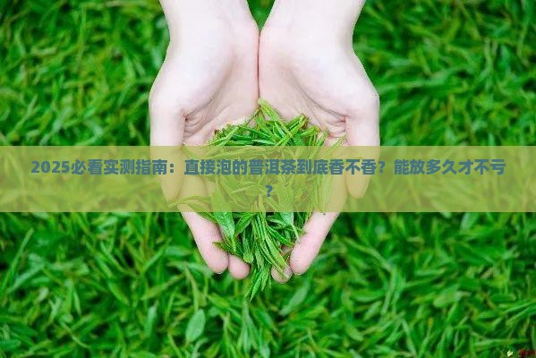 直接泡的普洱茶好吗能放多久