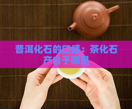茶化石的口感茶化石产自于哪里