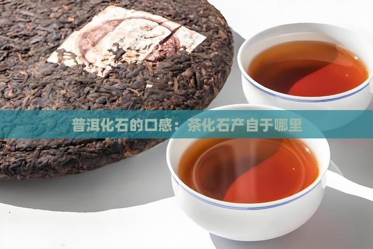 茶化石的口感茶化石产自于哪里