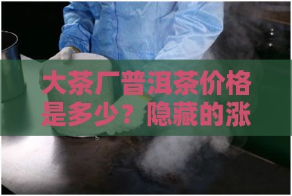 大茶厂普洱茶价格是多少