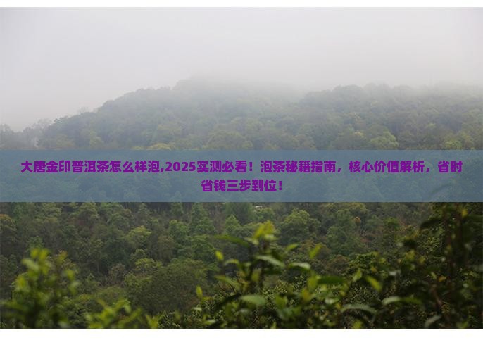大唐金印普洱茶怎么样泡