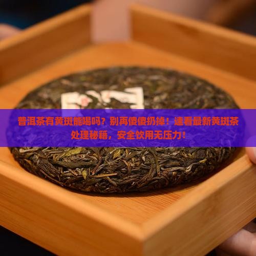 普洱茶有黄斑能喝吗
