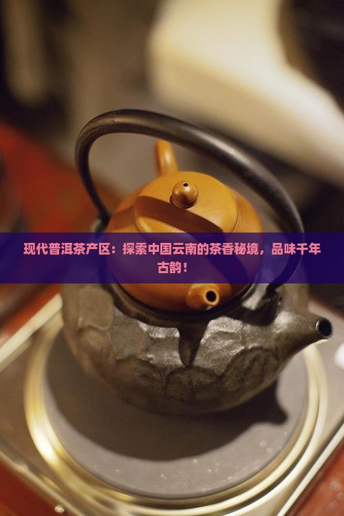现代普洱茶产区