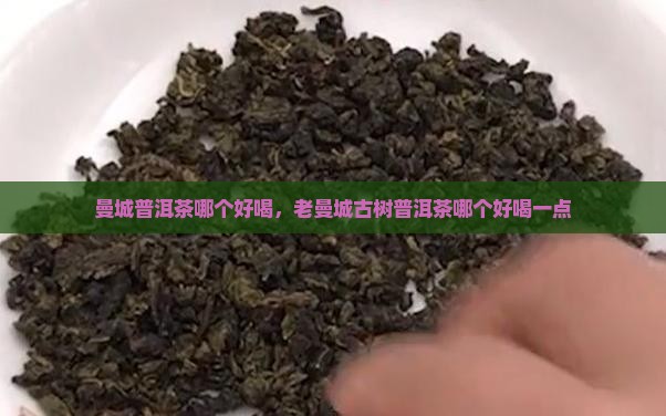 曼城普洱茶哪个好喝