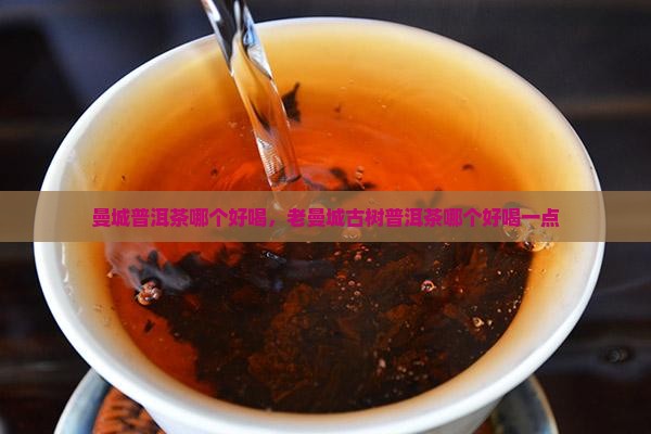 曼城普洱茶哪个好喝