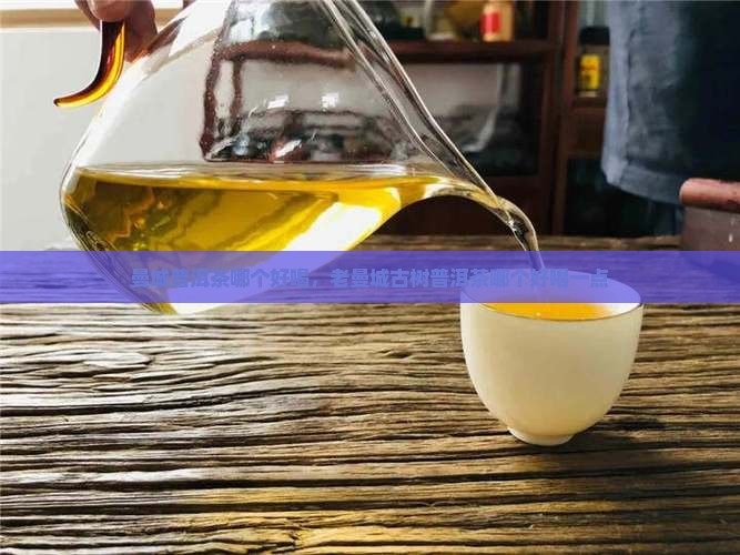曼城普洱茶哪个好喝