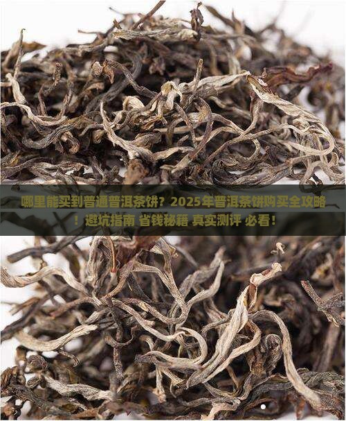 哪里能买到普通普洱茶饼