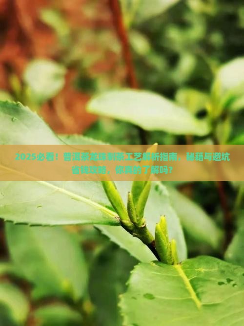 普洱茶龙珠制茶工艺是什么