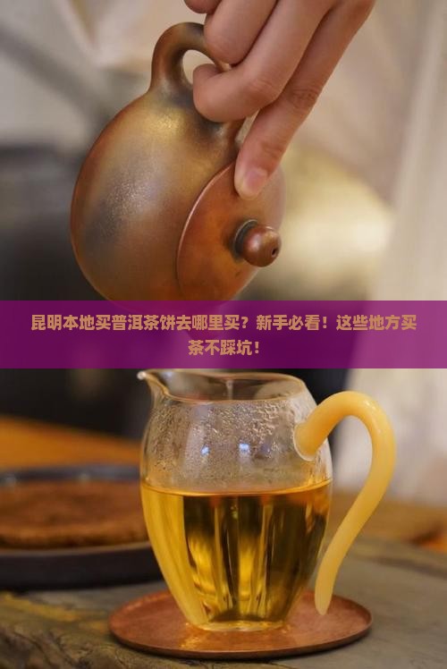 昆明本地买普洱茶饼去哪里买