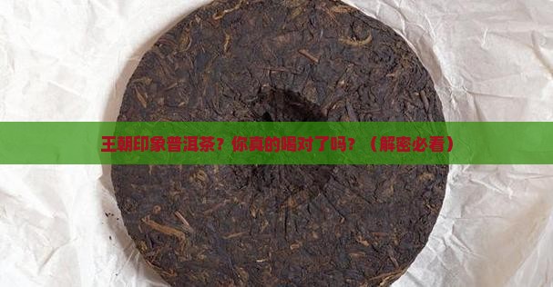 王朝印象普洱茶