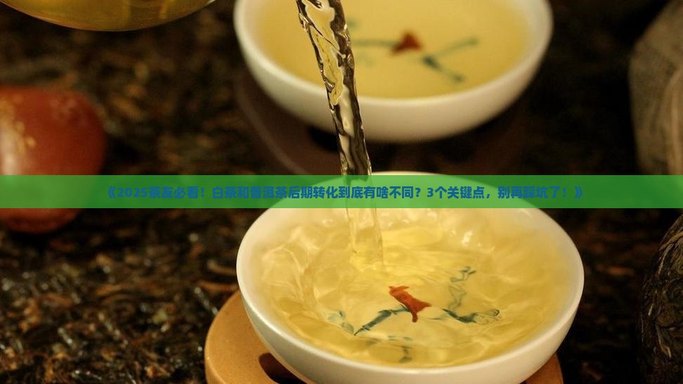 白茶和普洱茶的后期转化