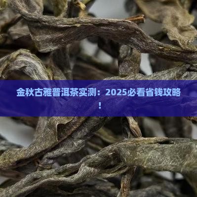 金秋古雅普洱茶