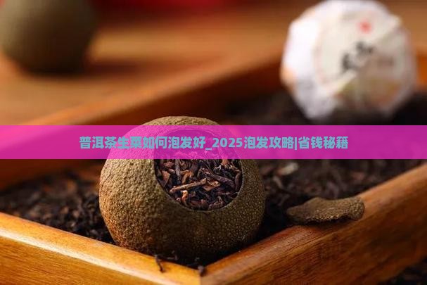 普洱茶生菜如何泡发好