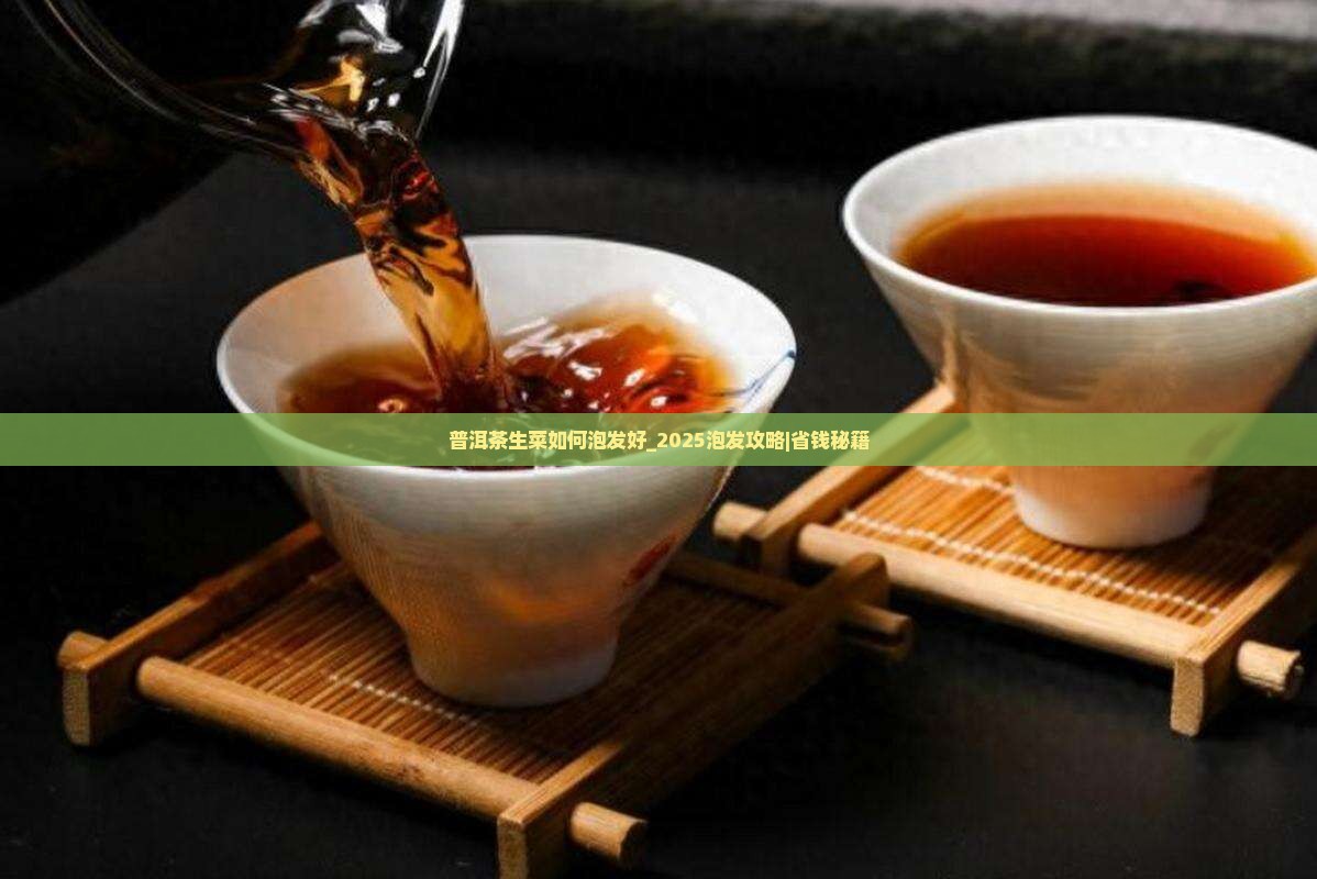 普洱茶生菜如何泡发好