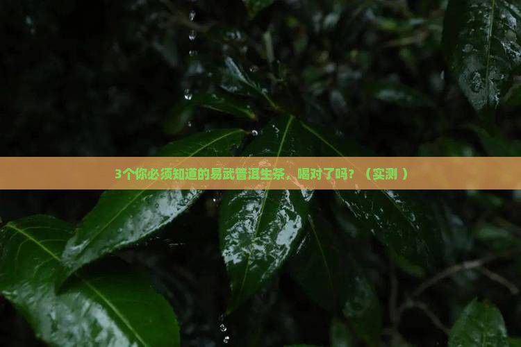 易武普洱生茶的功效与作用