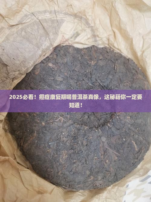 癌症康复期喝普洱茶吗