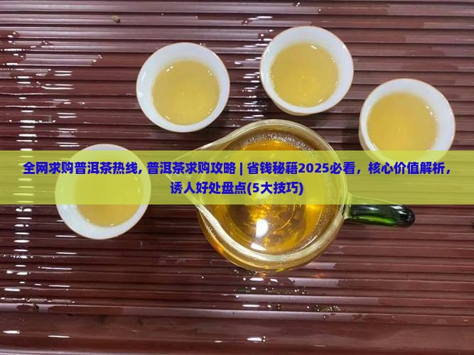 全网求购普洱茶热线